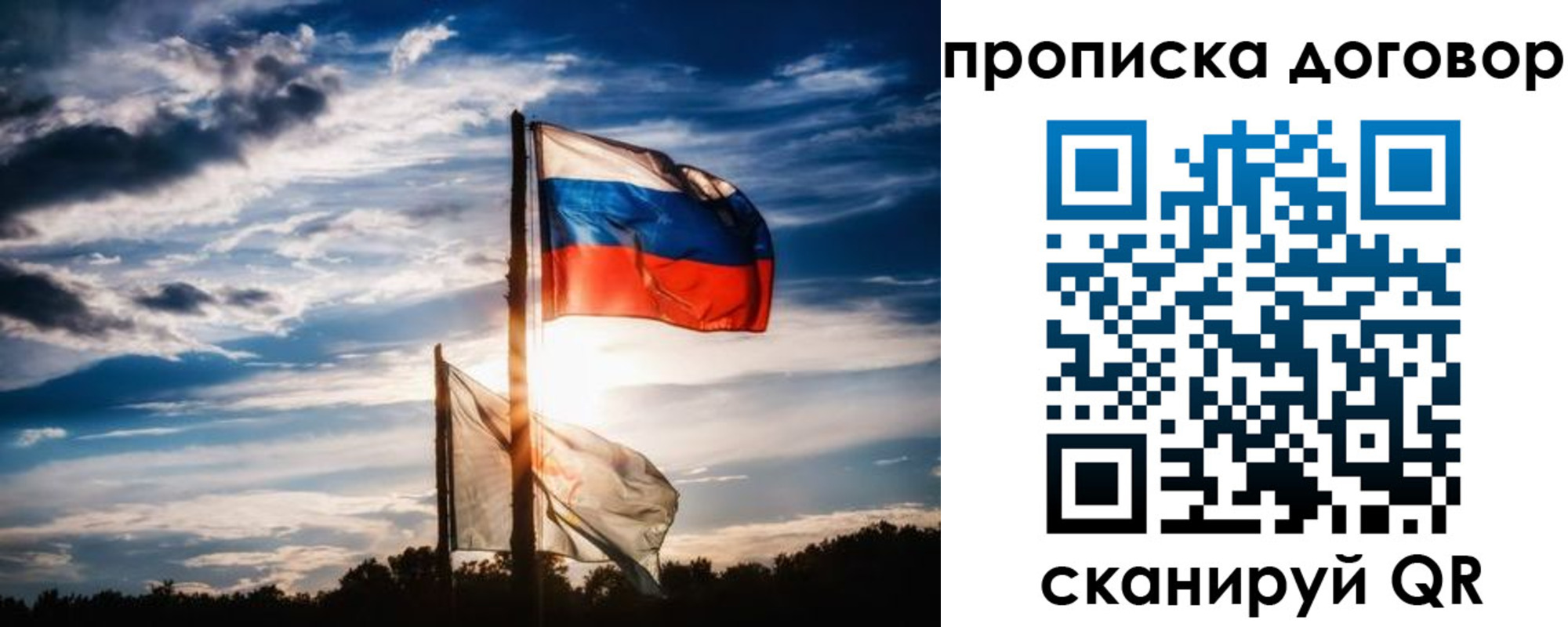временная регистрация гарантия в Светлом