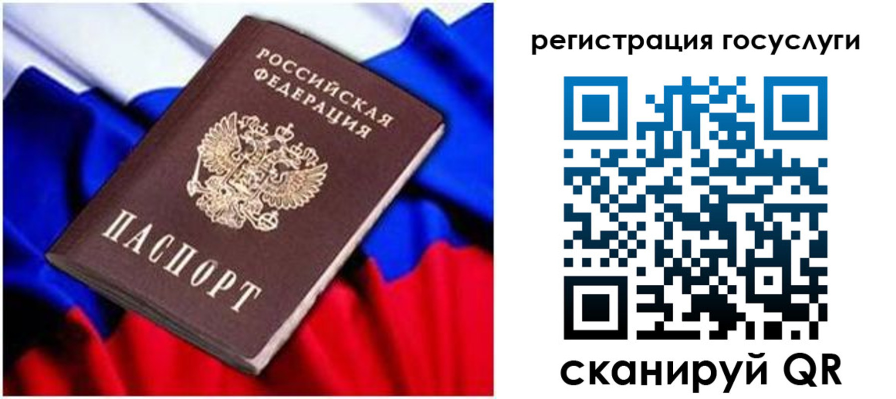 временная регистрация законно в Светлом